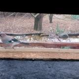 photo 2021-12-07 08-43-10