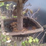 photo 2019-12-10 13-38-43