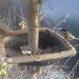 photo 2019-12-29 14-54-19