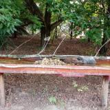 photo 2021-07-23 05-57-44