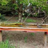 photo 2021-04-28 13-39-07