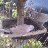 photo 2019-12-09 12-28-58