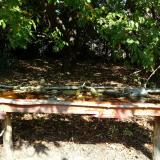 photo 2021-10-02 11-47-37