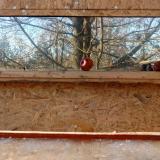 photo 2022-01-14 13-51-04