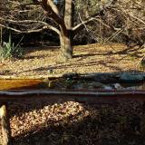 photo 2021-10-25 15-34-40