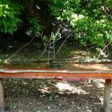 photo 2021-05-15 11-00-00