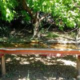 photo 2021-05-10 11-29-22