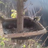 photo 2019-12-21 11-47-22