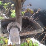 photo 2019-12-02 09-57-01