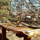 photo 2022-03-13 13-03-06