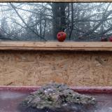 photo 2022-01-16 07-54-56