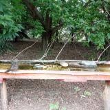 photo 2021-08-03 10-33-10