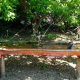 photo 2021-05-08 11-14-52