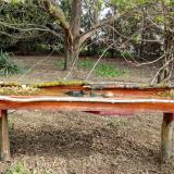 photo 2021-04-11 08-55-22