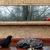 photo 2022-01-31 12-15-01