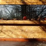 photo 2022-01-15 09-51-20