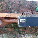 photo 2021-03-03 08-29-17