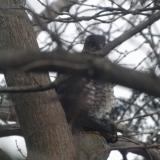 photo 2022-01-24 14-57-23 020