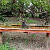 photo 2021-04-26 15-22-05