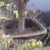 photo 2019-12-12 14-43-52