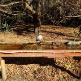 photo 2021-10-25 10-08-41