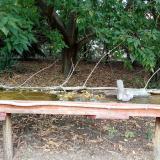 photo 2021-09-16 14-01-30