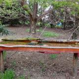 photo 2021-04-22 15-00-23