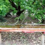 photo 2021-05-20 14-46-18