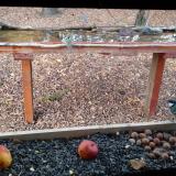 photo 2021-11-03 15-29-15