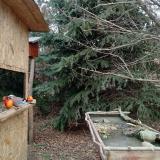 photo 2021-12-22 12-54-15