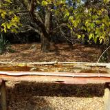 photo 2021-10-19 13-50-39