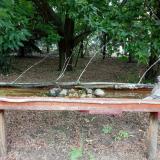 photo 2021-07-12 09-42-03