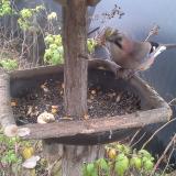 photo 2019-12-09 14-16-14