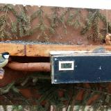 photo 2021-03-05 12-01-48