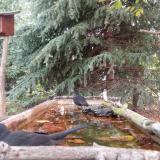 photo 2023-10-10 08-51-24