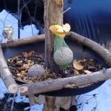 photo 2019-01-14 11-34-41