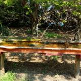 photo 2021-04-22 12-22-58