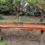 photo 2021-04-17 16-49-57