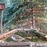 hegyi fakusz 2023-10-01 08-04-35