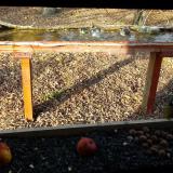 photo 2021-11-03 14-35-54