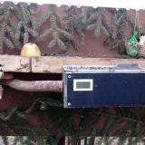 photo 2021-02-10 07-17-45