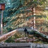 photo 2023-10-03 07-37-06