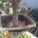 photo 2019-12-02 09-39-25