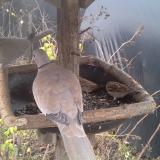 photo 2019-12-22 12-50-32