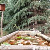 photo 2023-10-20 14-30-53