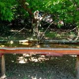 photo 2021-05-10 12-23-09