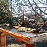 photo 2022-03-11 07-50-47