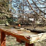 photo 2022-03-11 11-16-53