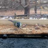 photo 2021-11-10 09-59-09