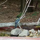 photo 2021-07-13 16-44-08 cinke